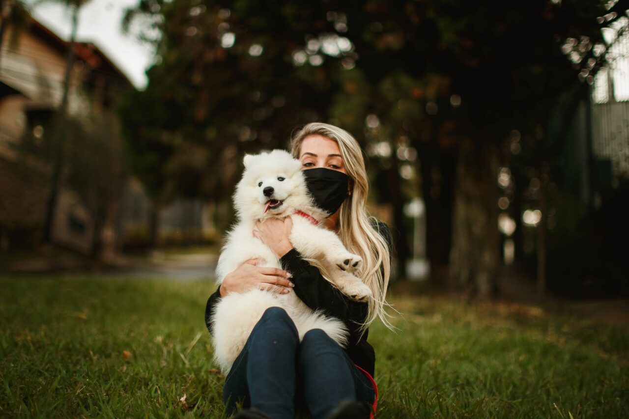 Pet Insurance Coverage Options Tally The Best Pet Insurance Plans pet-insurance-coverage-options-tally-the-best-pet-insurance-plans