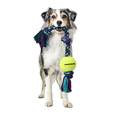 Best tuff toys for dogs
