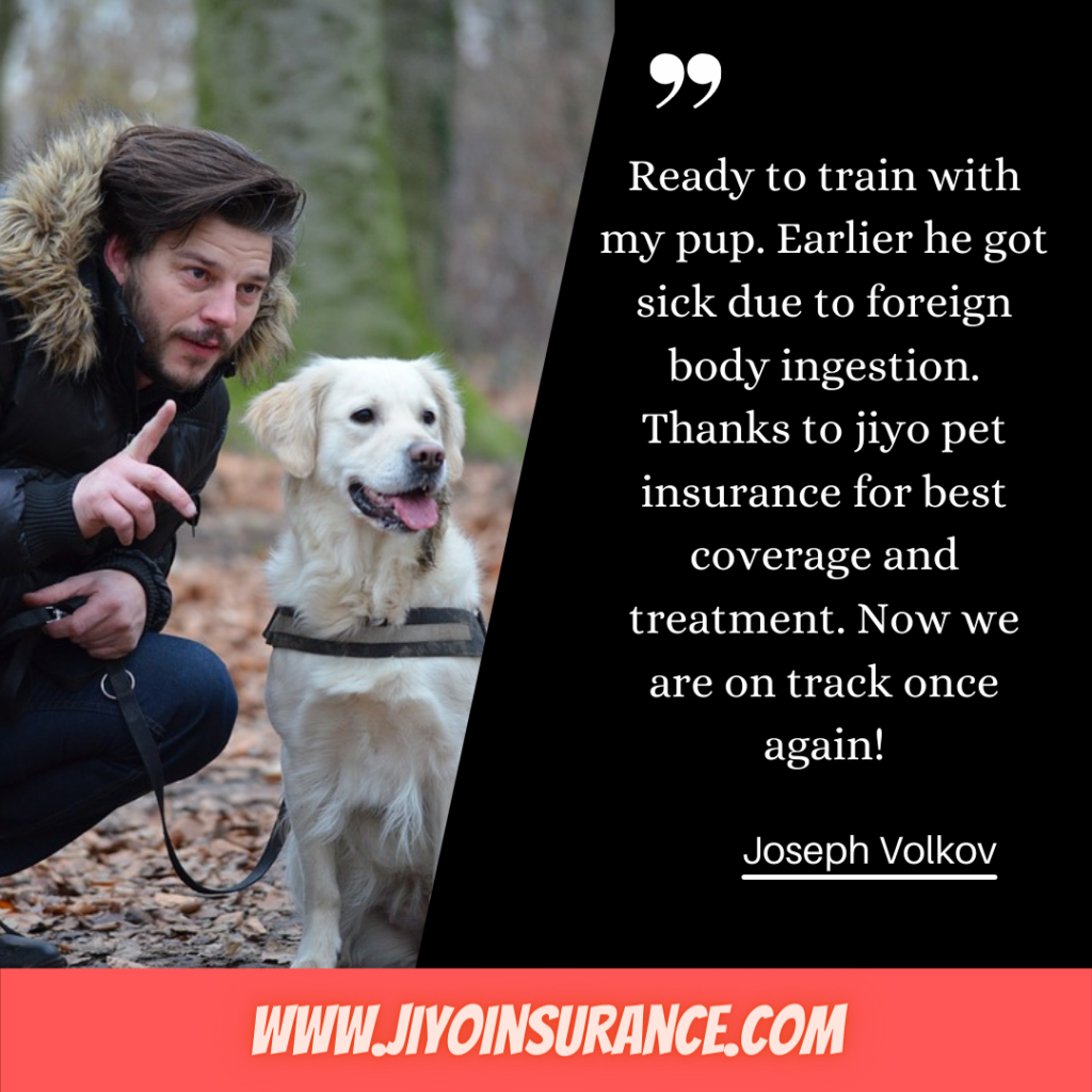 pet insurance Minnesota quote